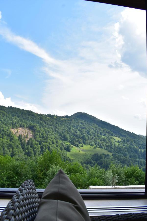 Silver View Kopaonik Kültér fotó